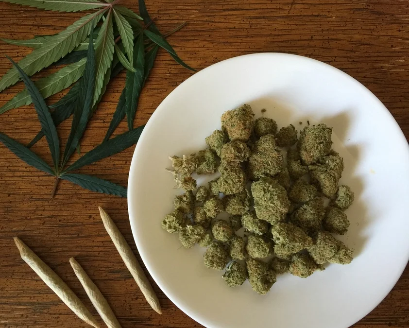 Medical marijuana and cannabis