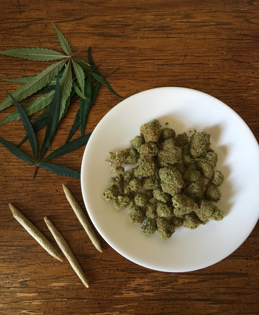 Medical marijuana and cannabis