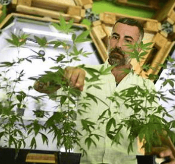 CBD en Italie : une interdiction controversée aux répercussions européennes​