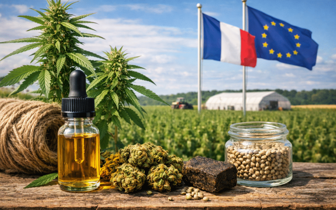 CBD et chanvre industriel