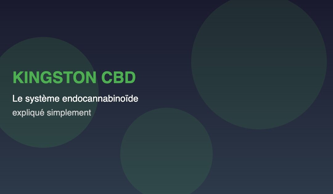 Le Système Endocannabinoïde Expliqué Simplement : Pourquoi Votre Corps Est Fait Pour le CBD