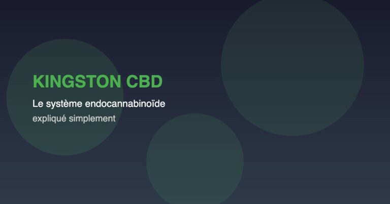 Le Système Endocannabinoïde Expliqué Simplement : Pourquoi Votre Corps Est Fait Pour le CBD