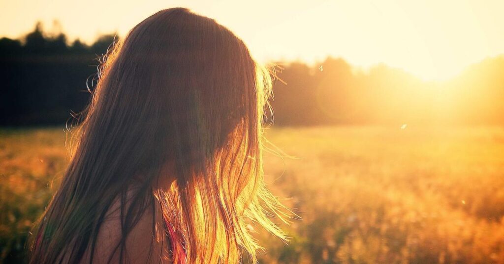 Difference entre CBD CBG et CBN - guide complet Kingston CBD