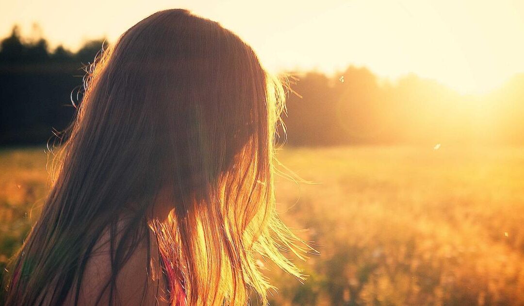 Différence entre CBD, CBG et CBN : le guide complet Kingston