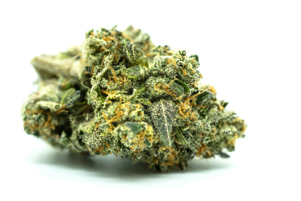 Terpènes du cannabis et CBD Kingston — feuilles aromatiques