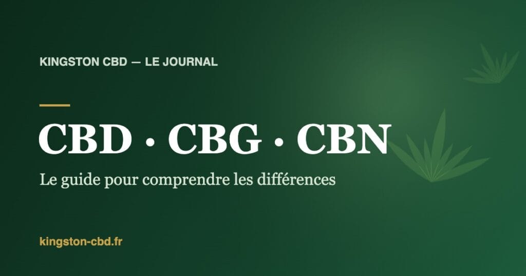 CBD, CBG et CBN : les différences entre cannabinoïdes — guide Kingston CBD
