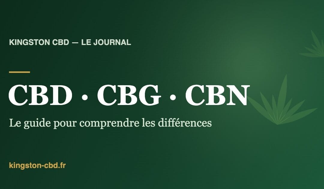 CBD, CBG, CBN : le guide pour enfin comprendre qui fait quoi