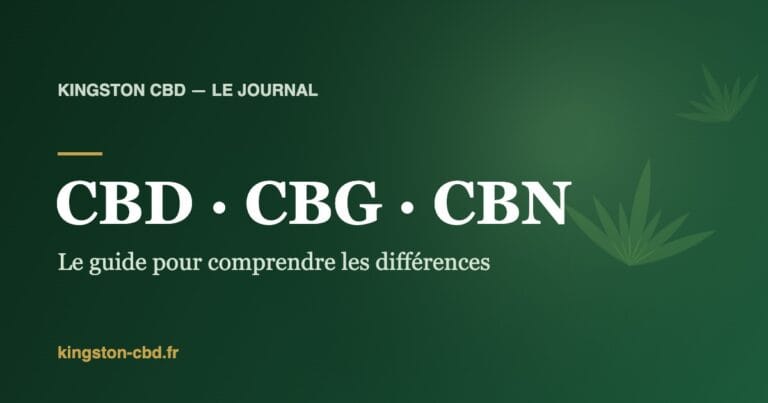 CBD, CBG, CBN : le guide pour enfin comprendre qui fait quoi