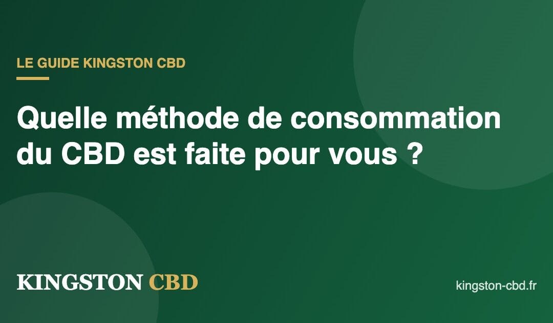 Huile, fleur, infusion ou vape : quelle méthode de consommation du CBD est faite pour vous ?