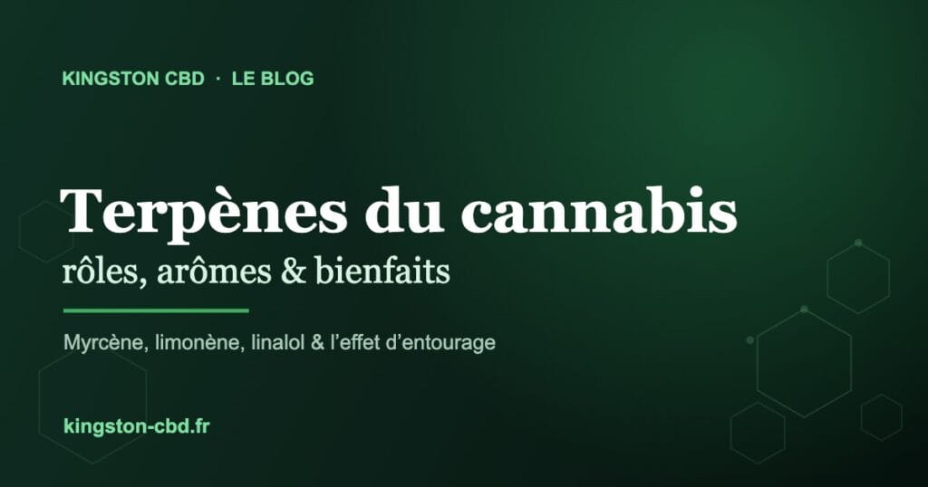 Illustration des terpènes du cannabis et du CBD — Kingston CBD