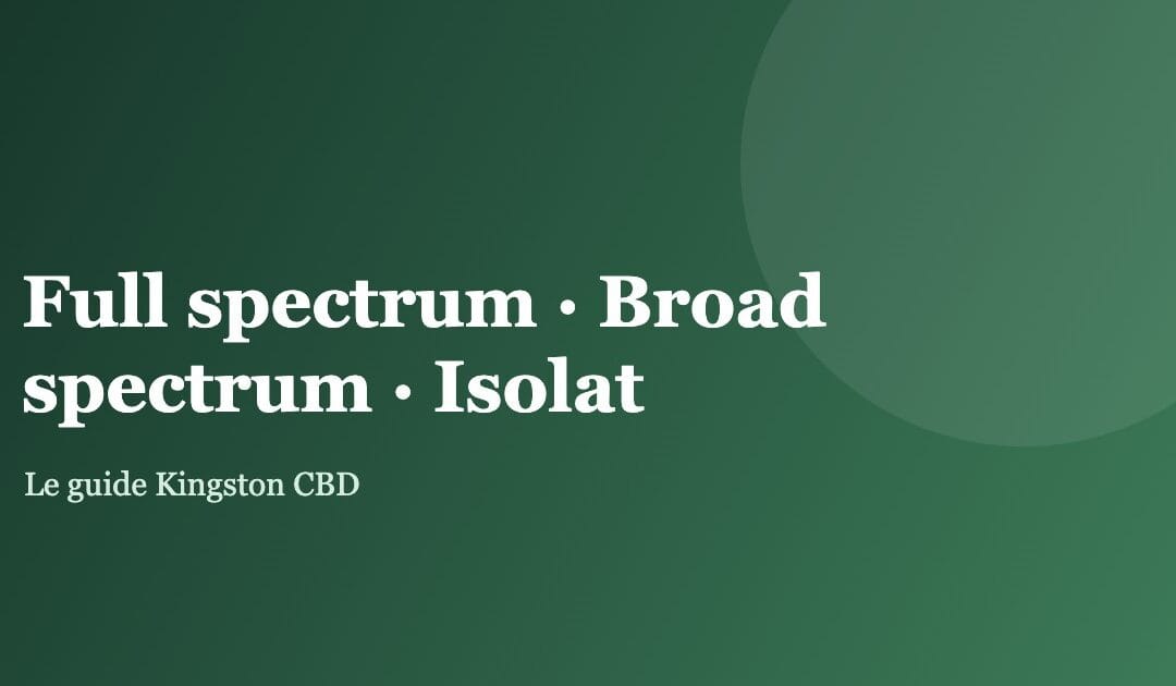 Full spectrum, broad spectrum ou isolat : le match qui change tout dans votre CBD