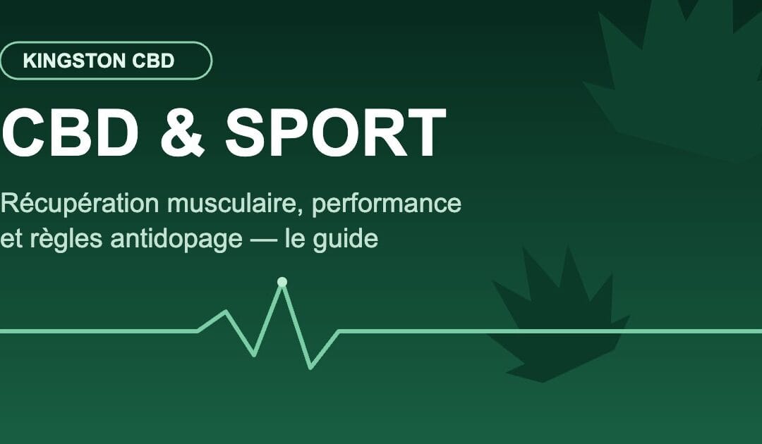 CBD et sport : récupération musculaire et performance