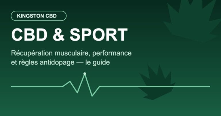 CBD et sport : récupération musculaire et performance