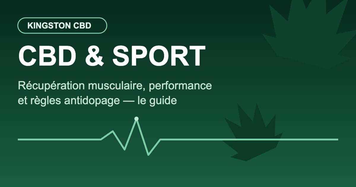 CBD et sport : récupération musculaire et performance — guide Kingston CBD