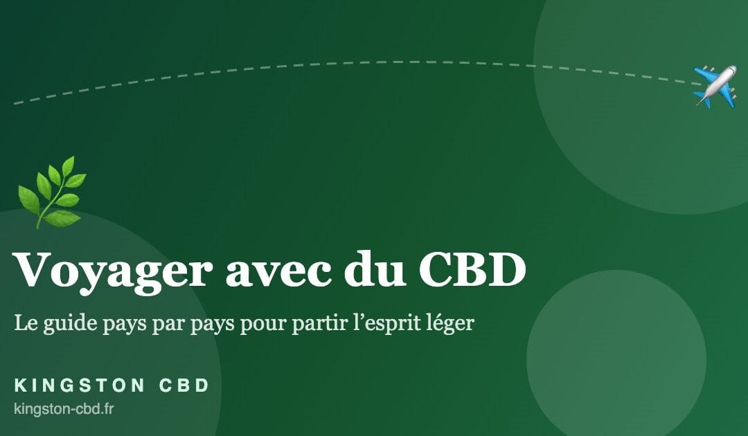 Voyager avec du CBD en 2026 : les règles pays par pays pour partir l&rsquo;esprit léger