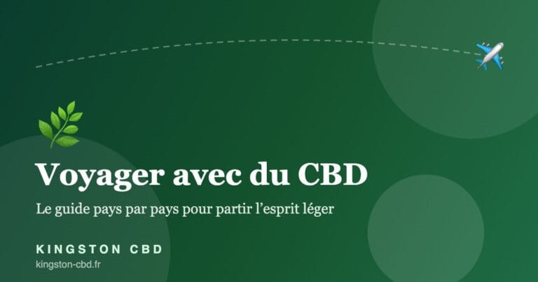 Voyager avec du CBD en 2026 : les règles pays par pays pour partir l&rsquo;esprit léger