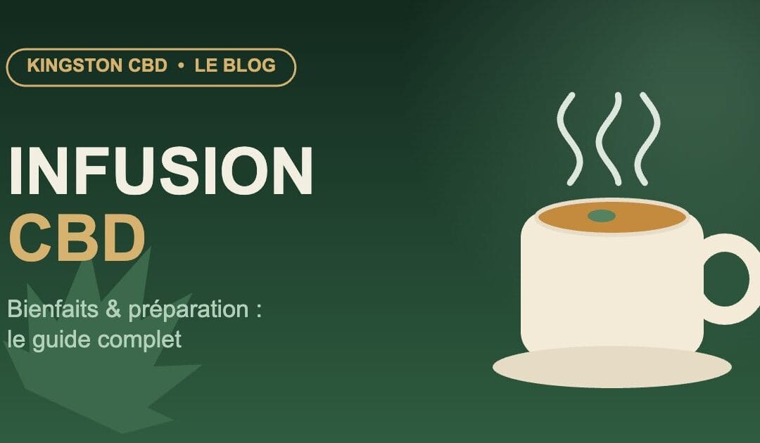 Infusion CBD : bienfaits, préparation et secrets d&rsquo;une vraie pause détente