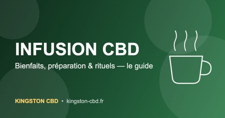Infusion CBD : guide bienfaits et préparation – Kingston CBD