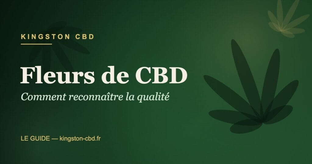 Fleurs de CBD premium — guide qualité Kingston CBD