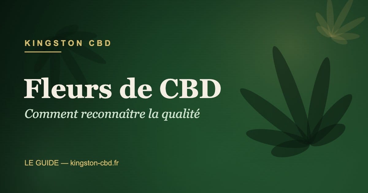 Fleurs de CBD : reconnaître la qualité — Kingston CBD Fleurs de CBD premium — guide qualité Kingston CBD