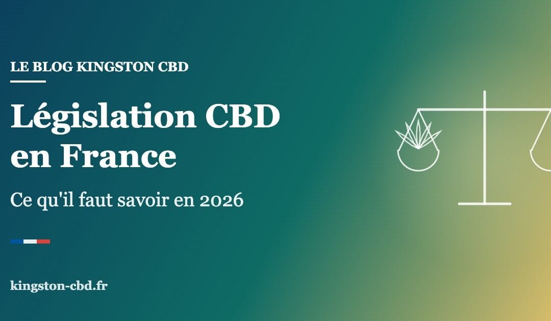 Législation CBD en France : ce qu&rsquo;il faut vraiment savoir en 2026