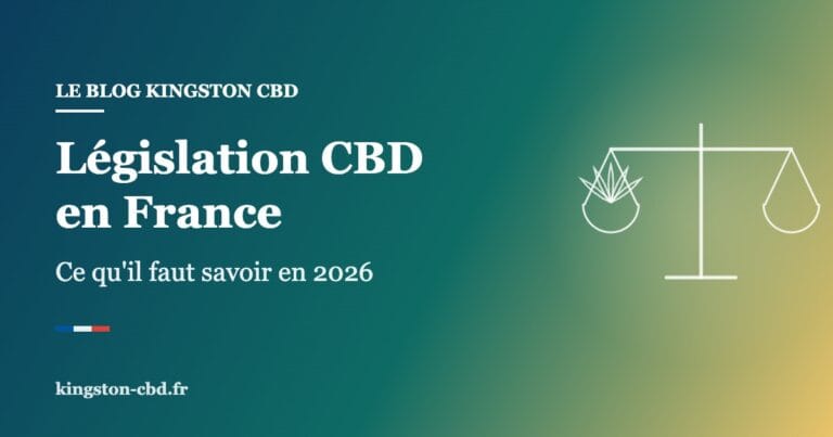 Législation CBD en France : ce qu&rsquo;il faut vraiment savoir en 2026