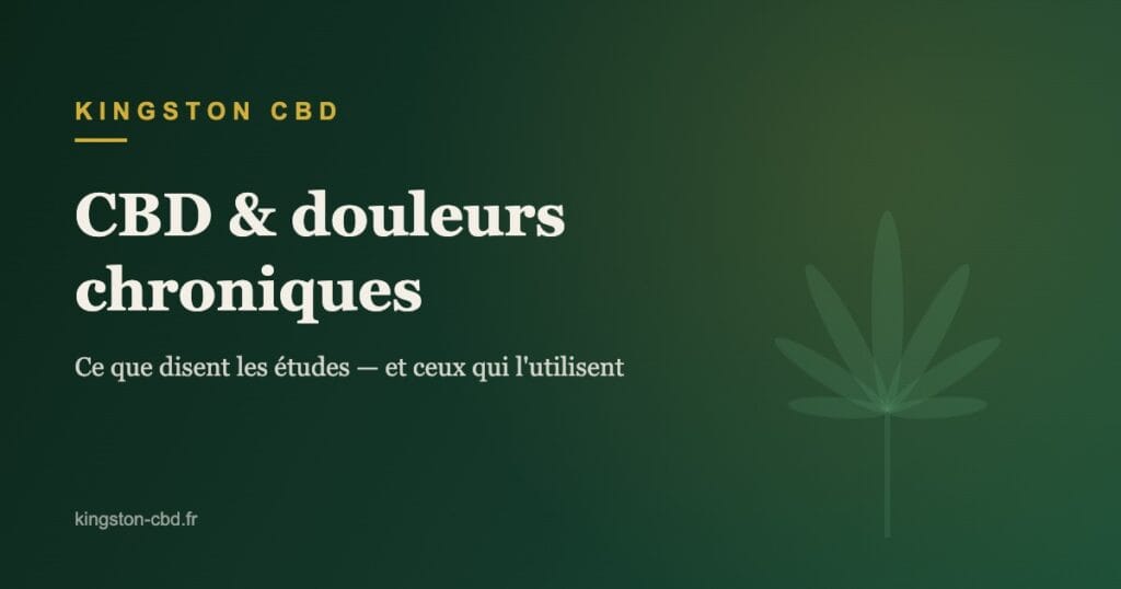CBD et douleurs chroniques : ce que disent les études — Kingston CBD