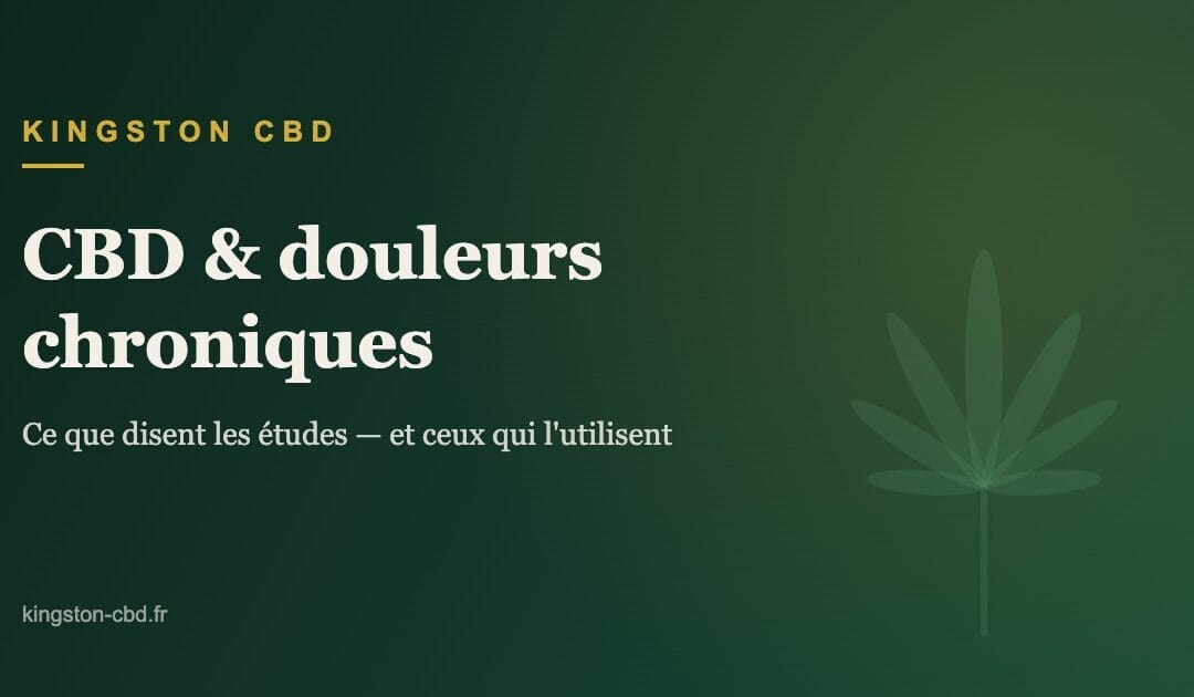 CBD et douleurs chroniques : ce que disent les études (et ceux qui l&rsquo;utilisent)