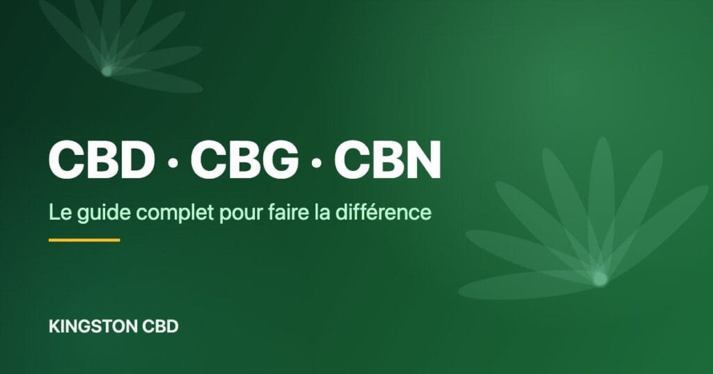 CBD, CBG, CBN : le guide complet Kingston CBD