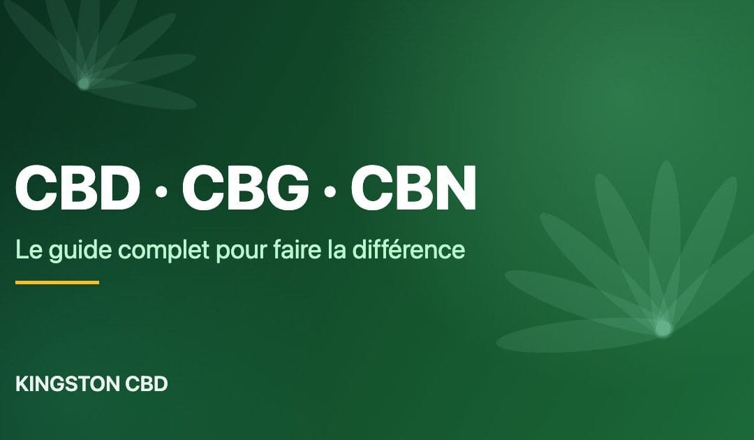 CBD, CBG, CBN : le guide complet pour enfin faire la différence