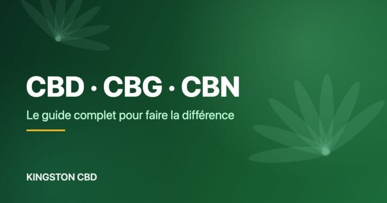 CBD, CBG, CBN : le guide complet pour enfin faire la différence