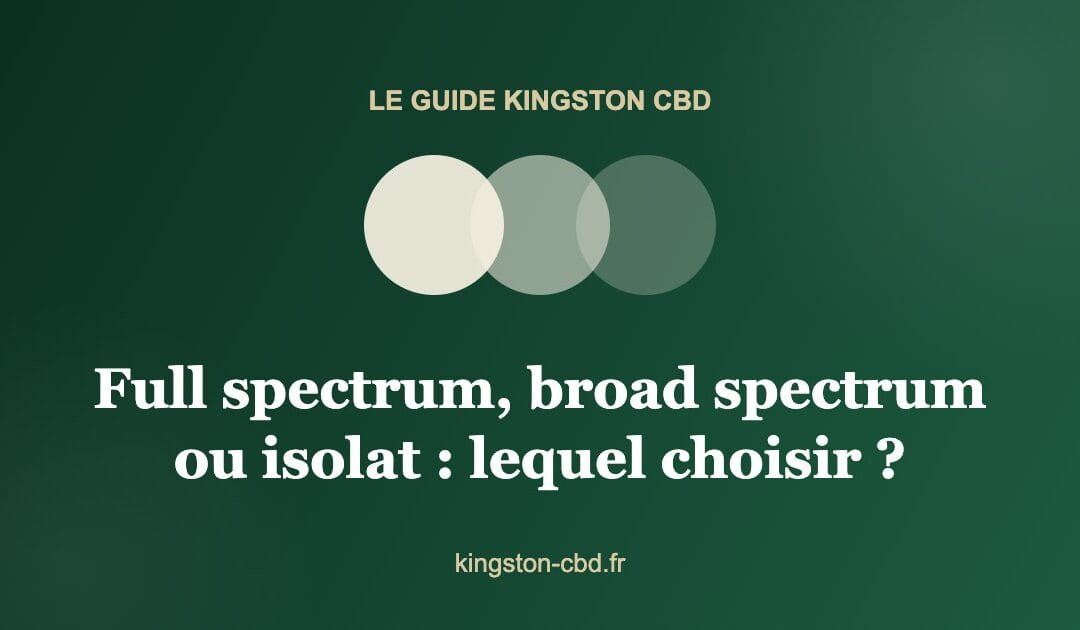 CBD full spectrum, broad spectrum ou isolat : lequel est fait pour vous ?