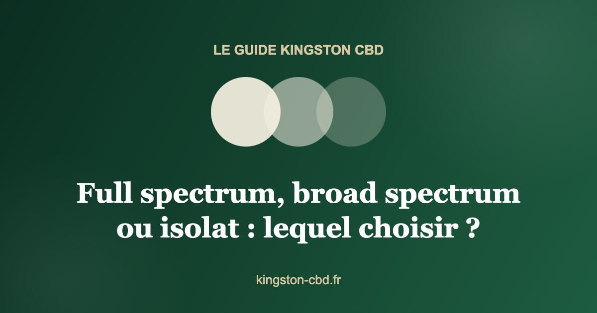 Trois extraits de CBD compares : full spectrum, broad spectrum et isolat — Kingston CBD