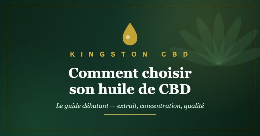 Guide débutant Kingston CBD : comment choisir son huile de CBD