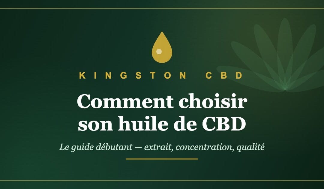 Comment choisir son huile de CBD : le guide débutant (sans prise de tête)