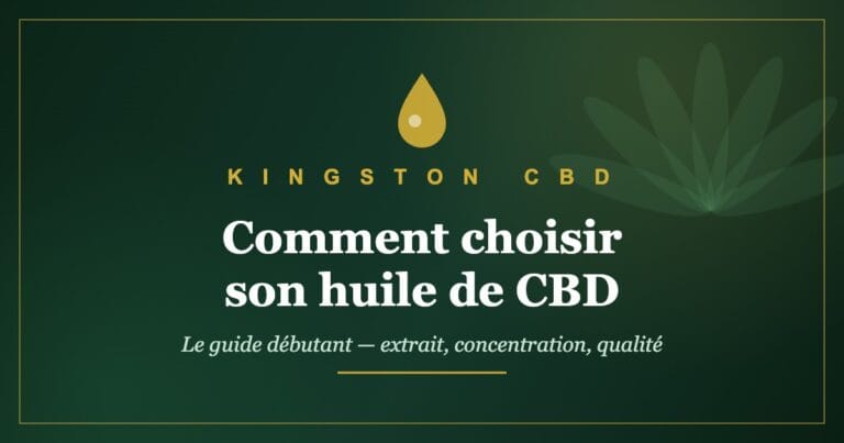 Comment choisir son huile de CBD : le guide débutant (sans prise de tête)