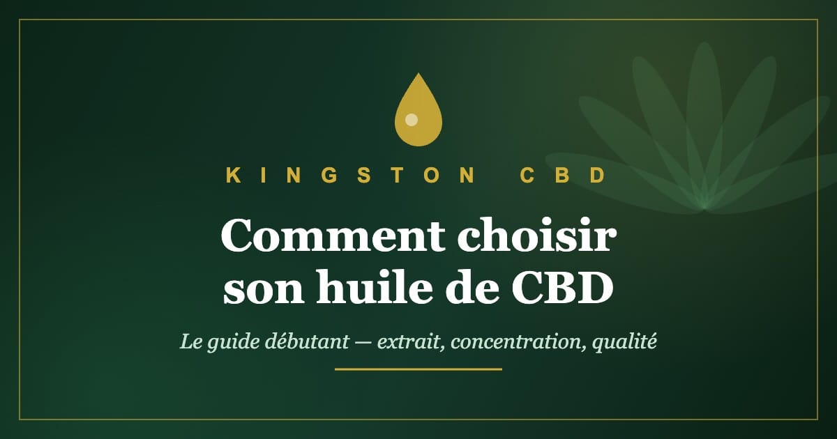 Guide débutant Kingston CBD : comment choisir son huile de CBD