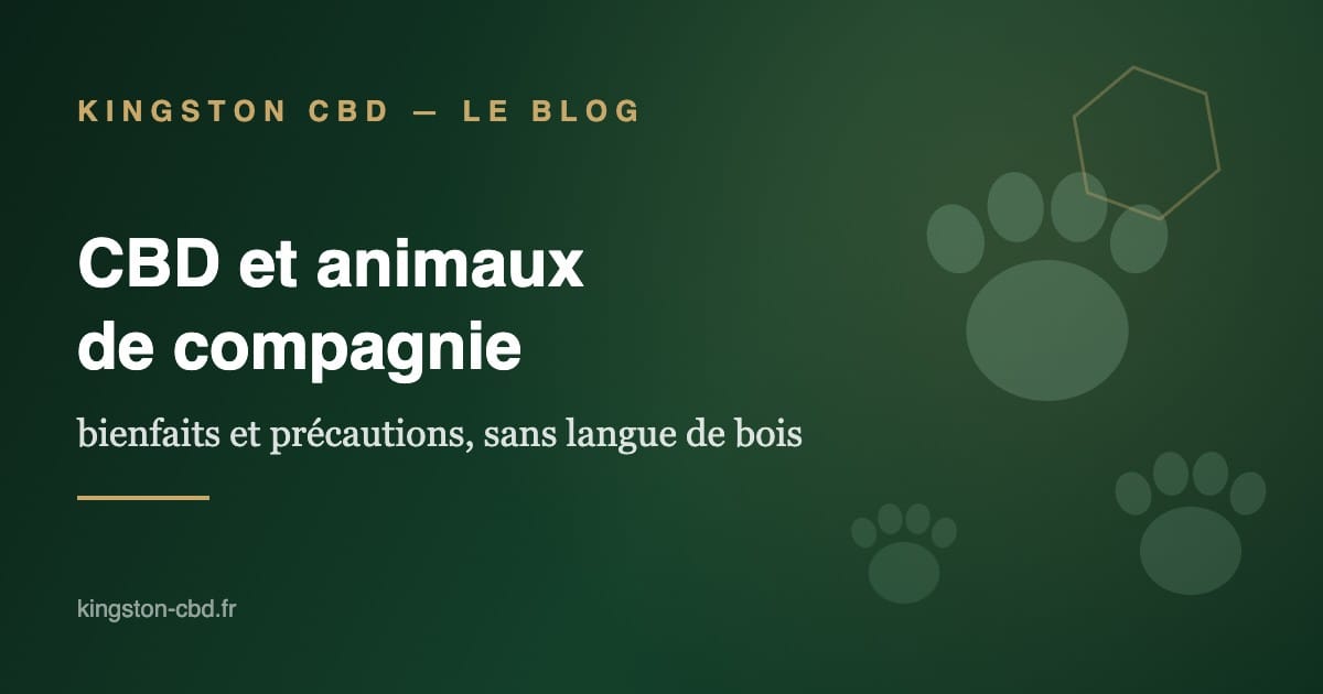 Empreintes de patte et motif moléculaire — CBD et animaux de compagnie par Kingston CBD