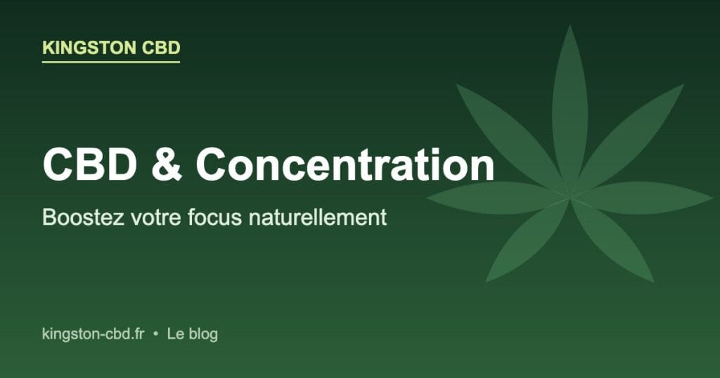 CBD et concentration : booster son focus naturellement — Kingston CBD
