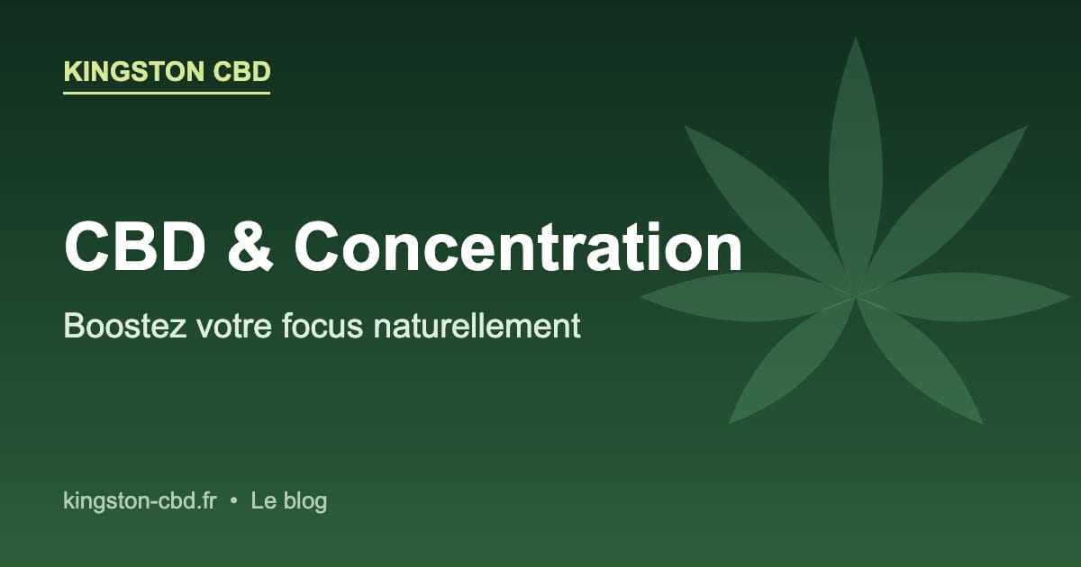 CBD et concentration : booster son focus naturellement — Kingston CBD
