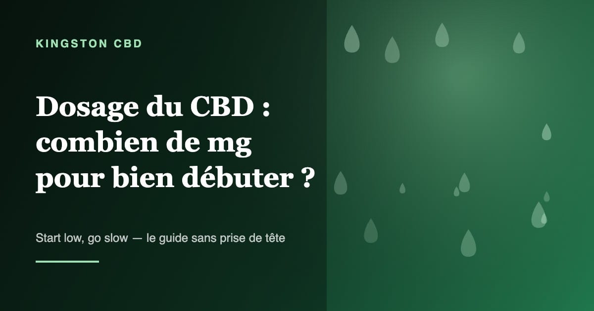 Dosage du CBD : combien de mg pour débuter — Kingston CBD Visuel Kingston CBD sur le dosage du CBD en milligrammes