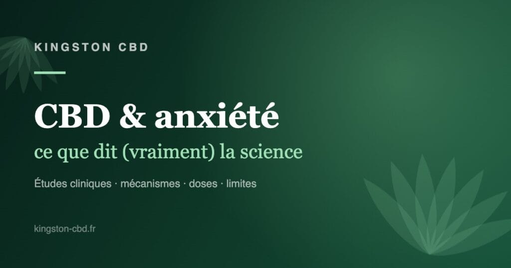 CBD et anxiété : ce que dit la science - Kingston CBD