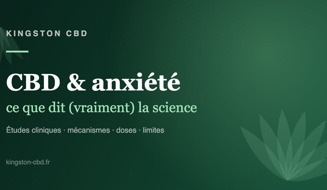 CBD et anxiété : ce que dit (vraiment) la science