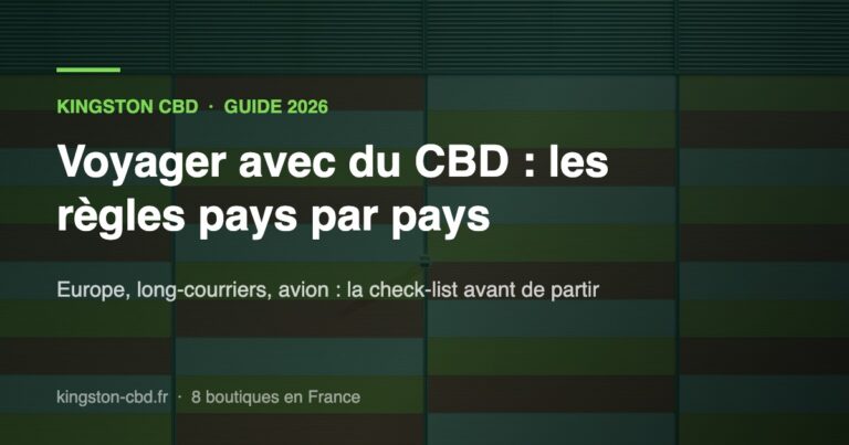Visuel Kingston CBD : voyager avec du CBD, les règles pays par pays