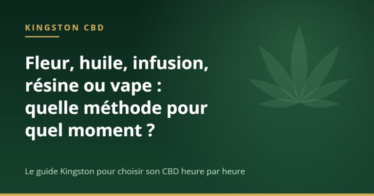 Visuel Kingston CBD : fleur, huile, infusion, resine ou vape, quelle methode de CBD choisir selon le moment de la journee